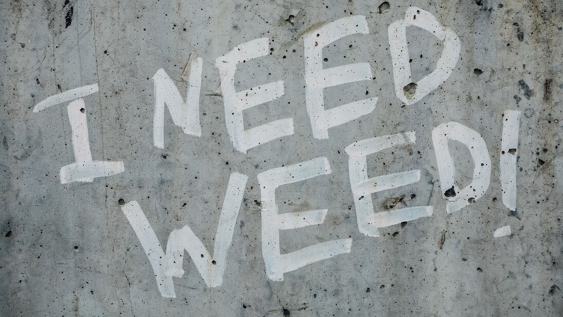 Schriftzug I need weed auf grauer Betonwand